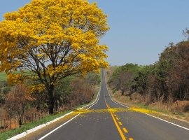 ABRIR CAMINHOS AFETIVOS