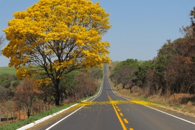 ABRIR CAMINHOS AFETIVOS